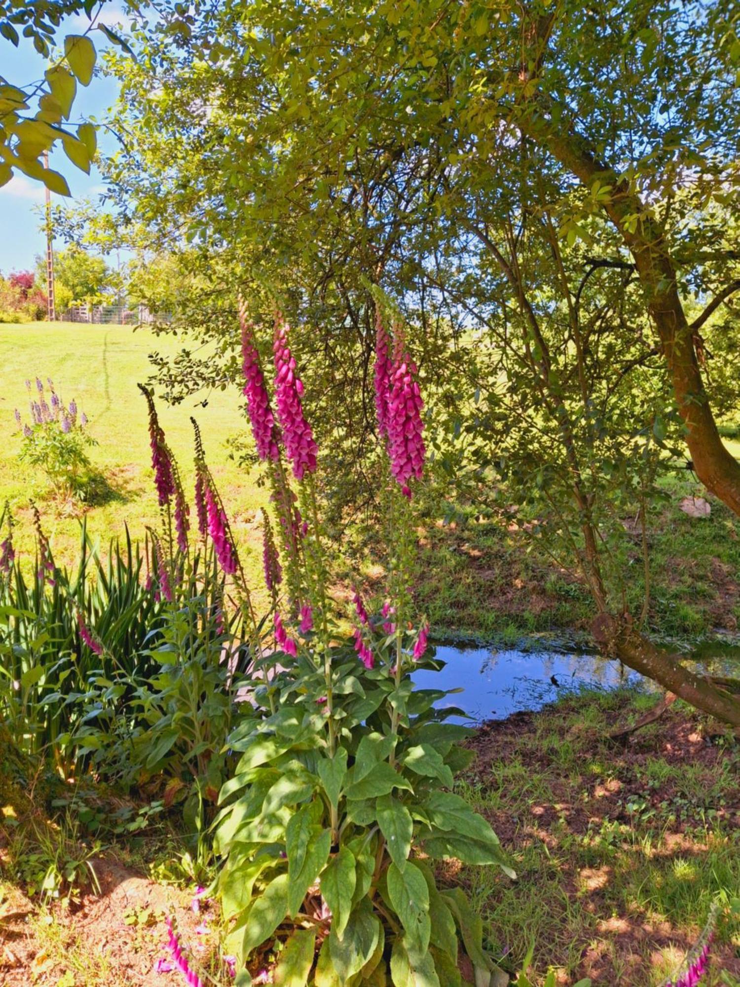 L'Authentique Tonneau A Cidre D'Emma Villa Litteau ภายนอก รูปภาพ